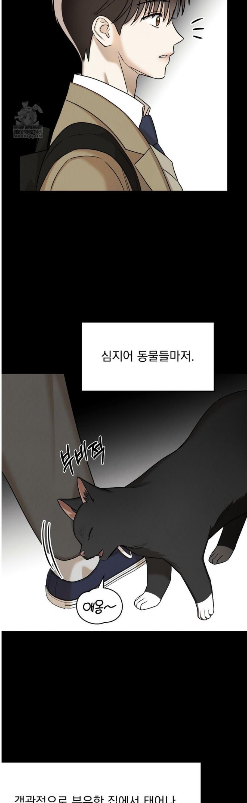 007.jpg