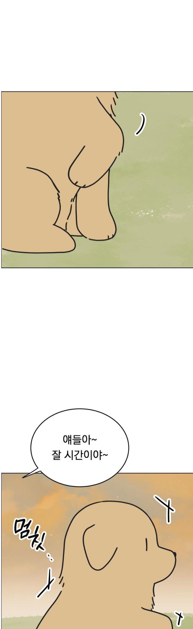 006.jpg