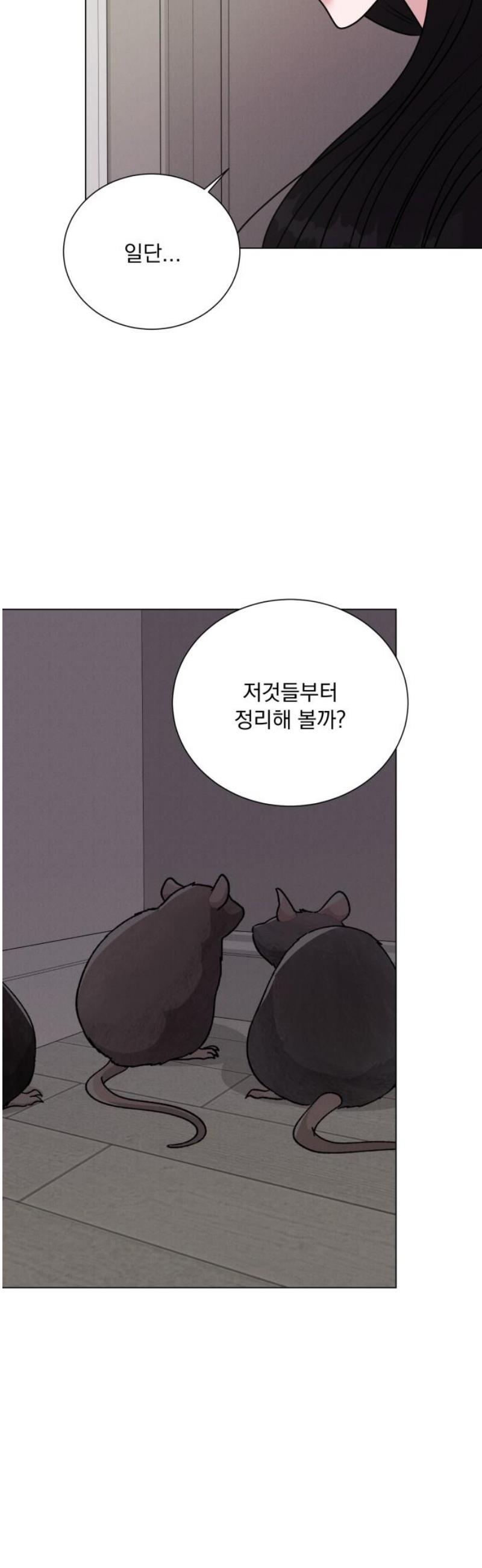 005.jpg