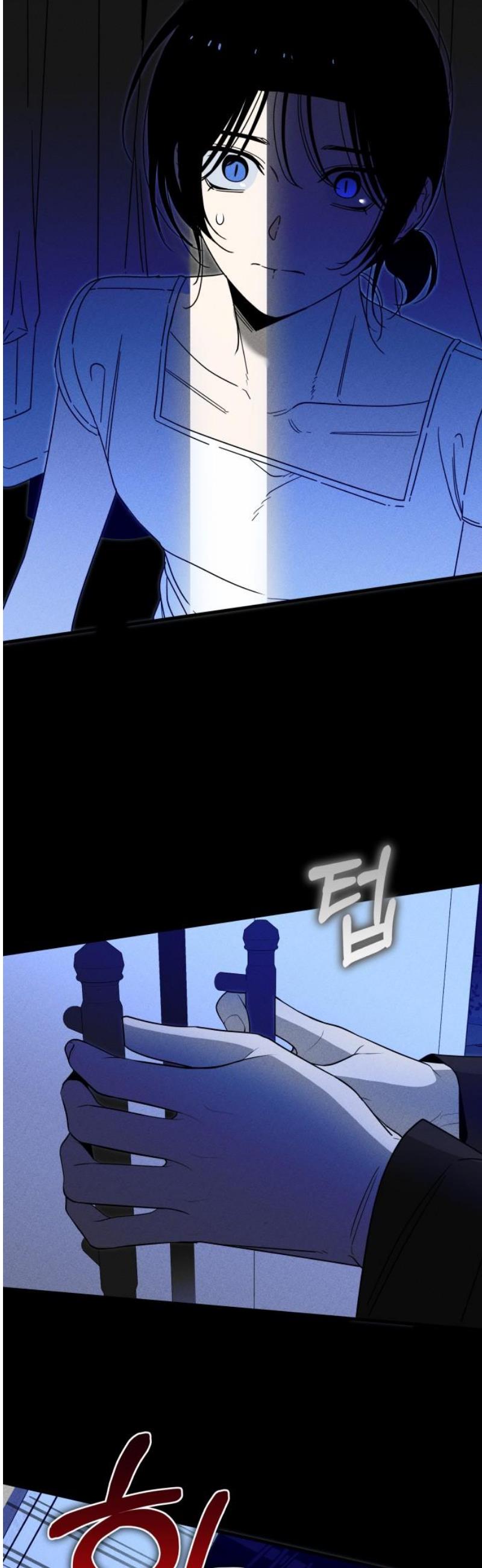 003.jpg