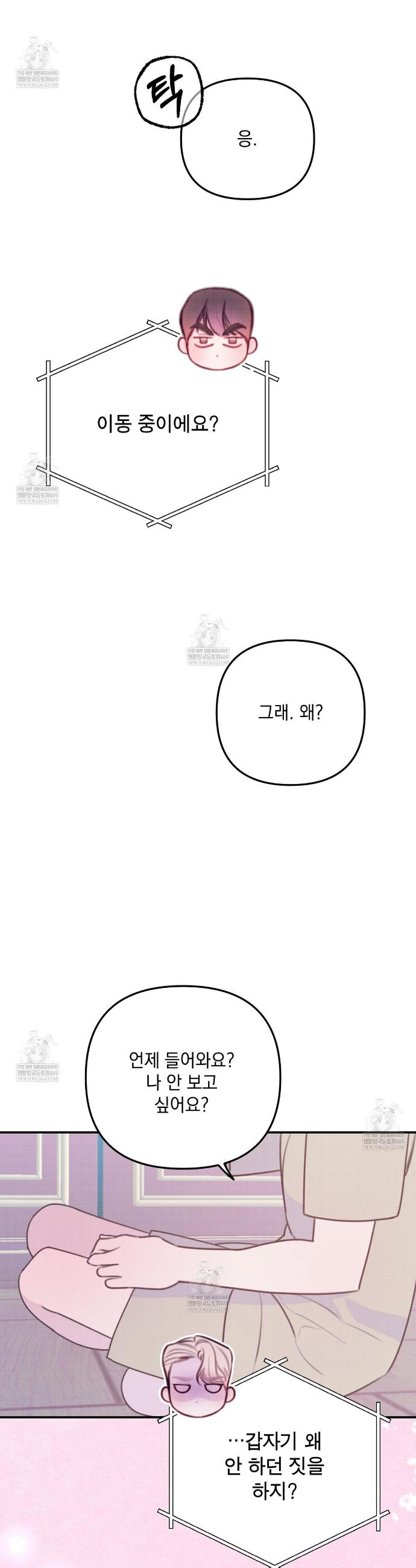 005.jpg