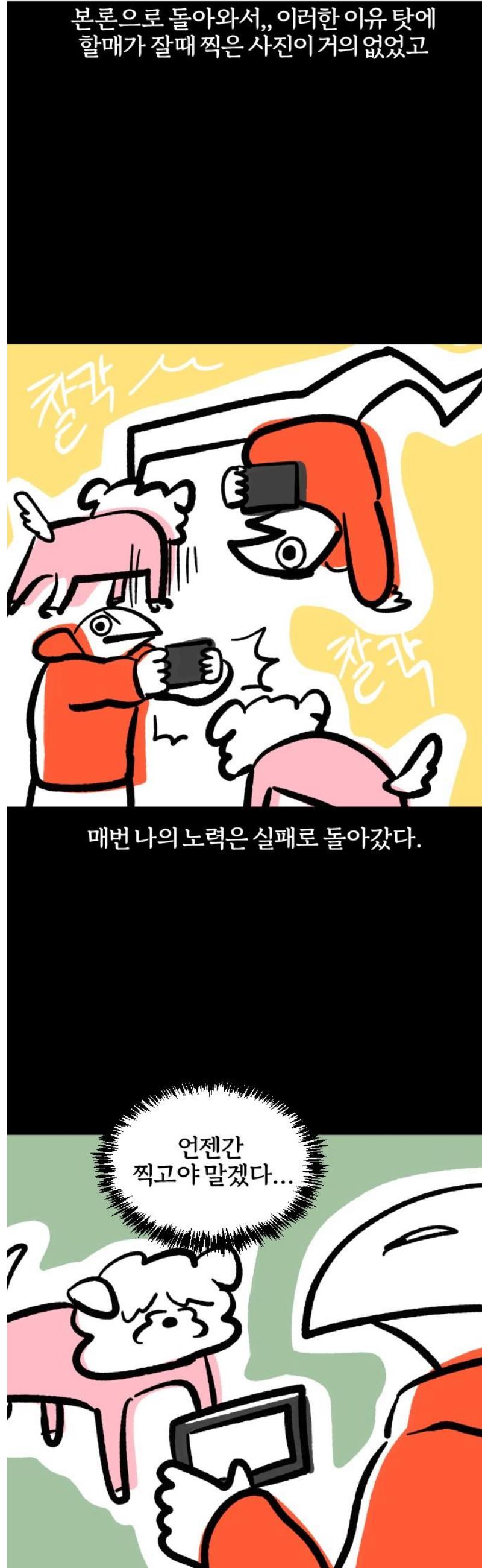 011.jpg