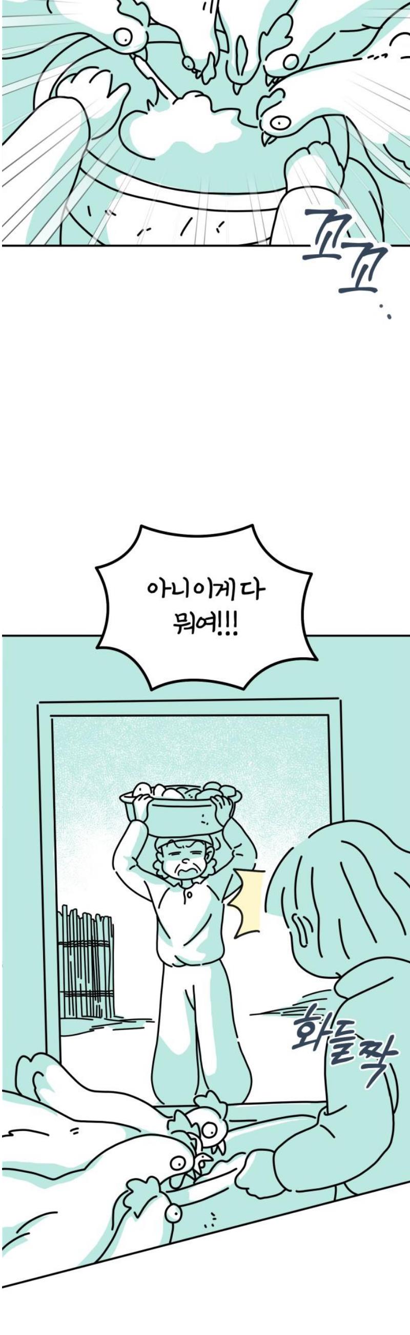 003.jpg