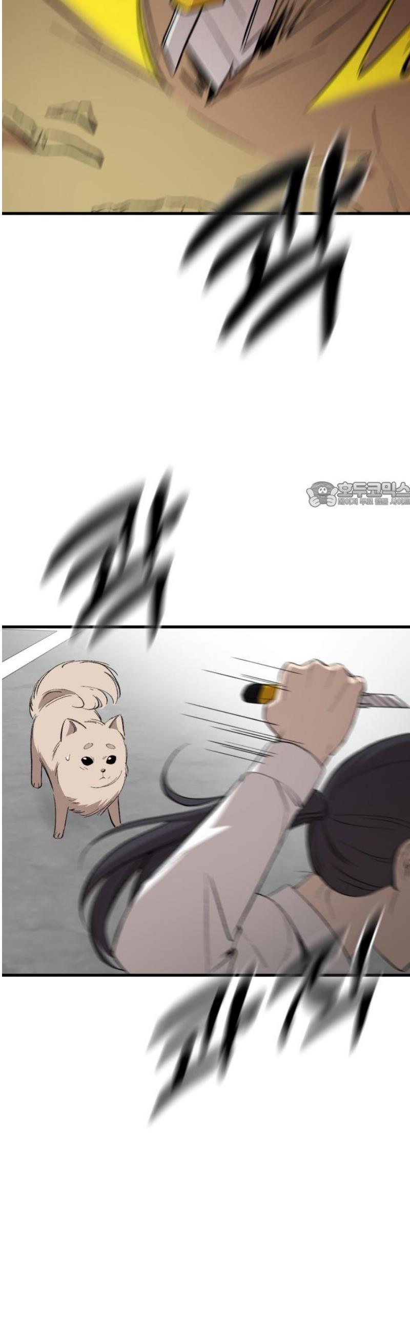 011.jpg