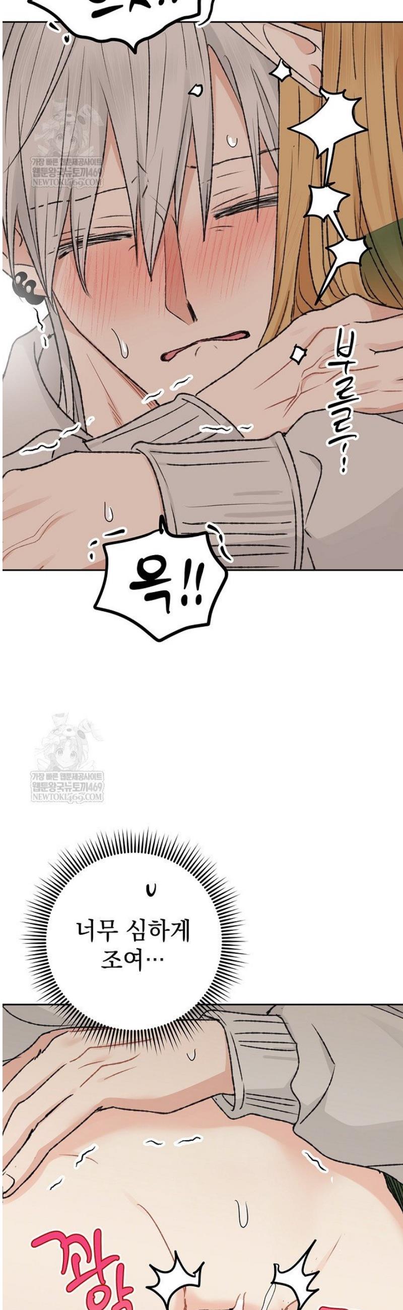 008.jpg