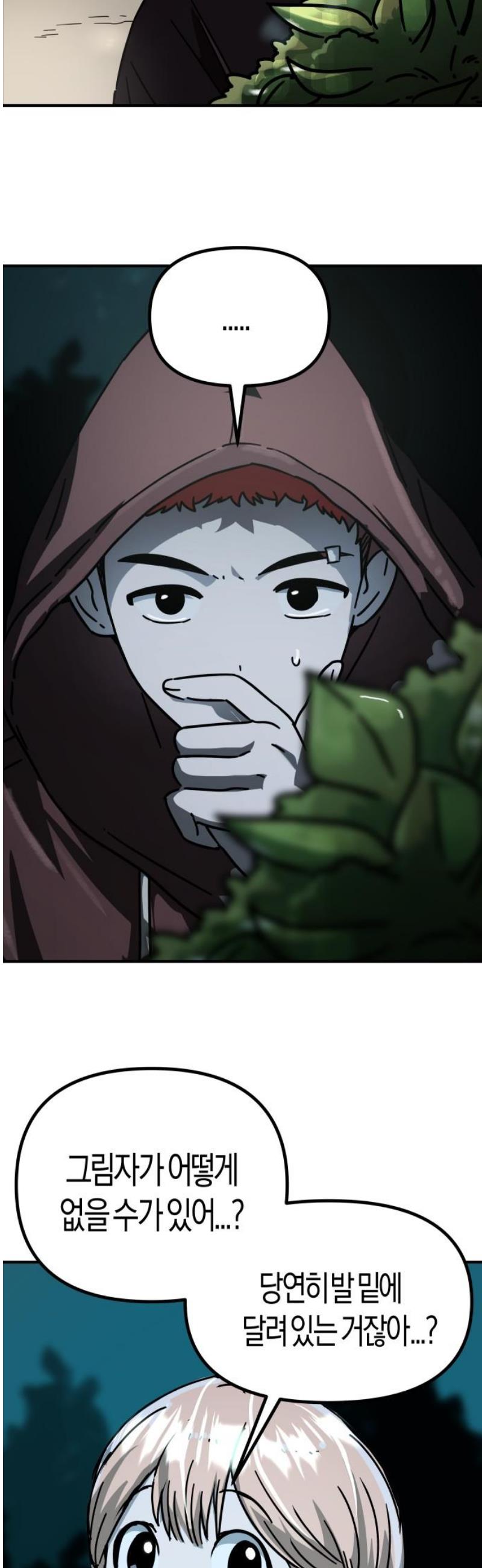003.jpg