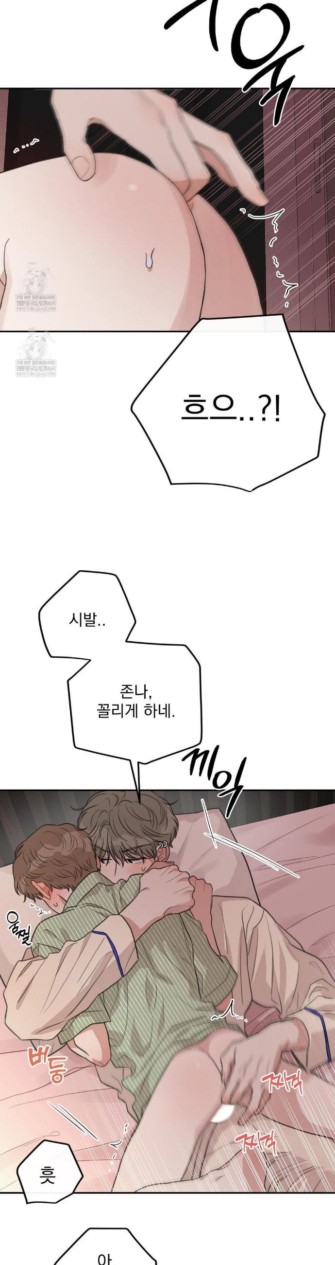 005.jpg