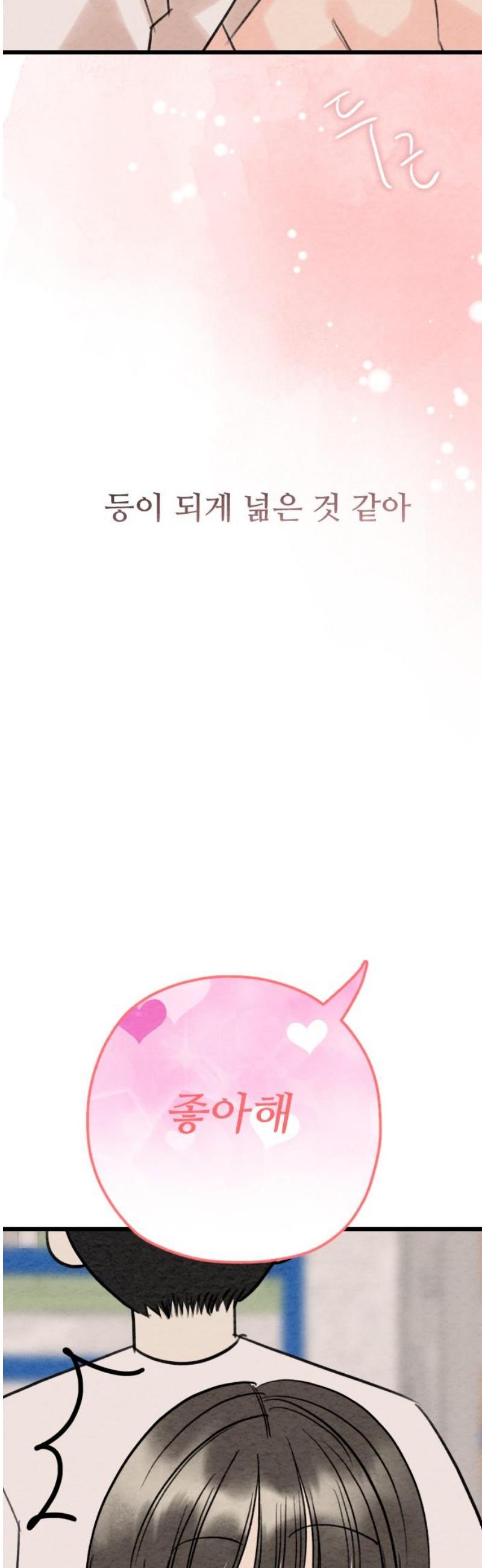 005.jpg