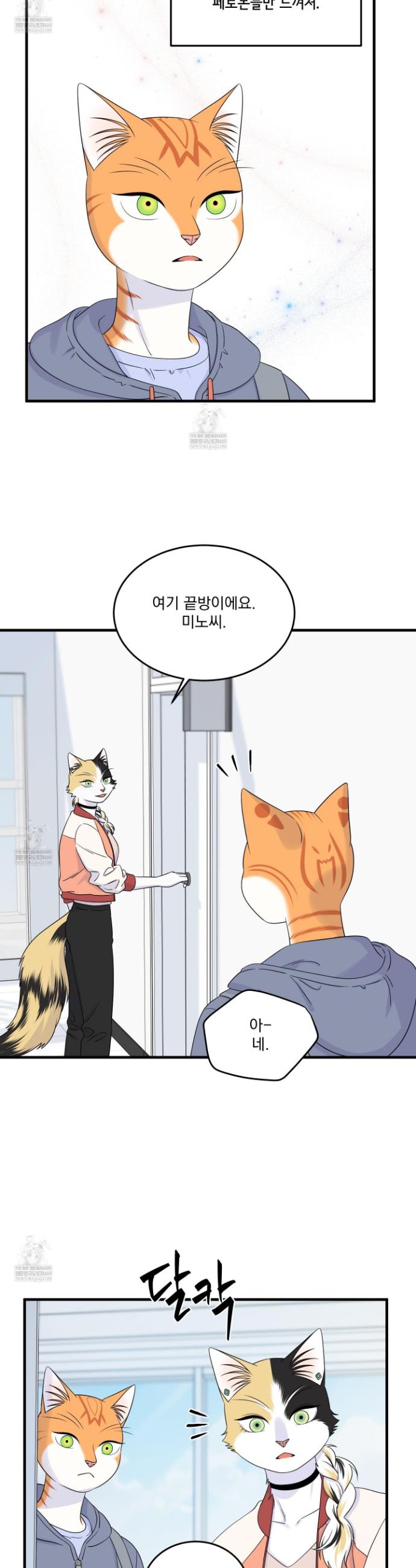 005.jpg
