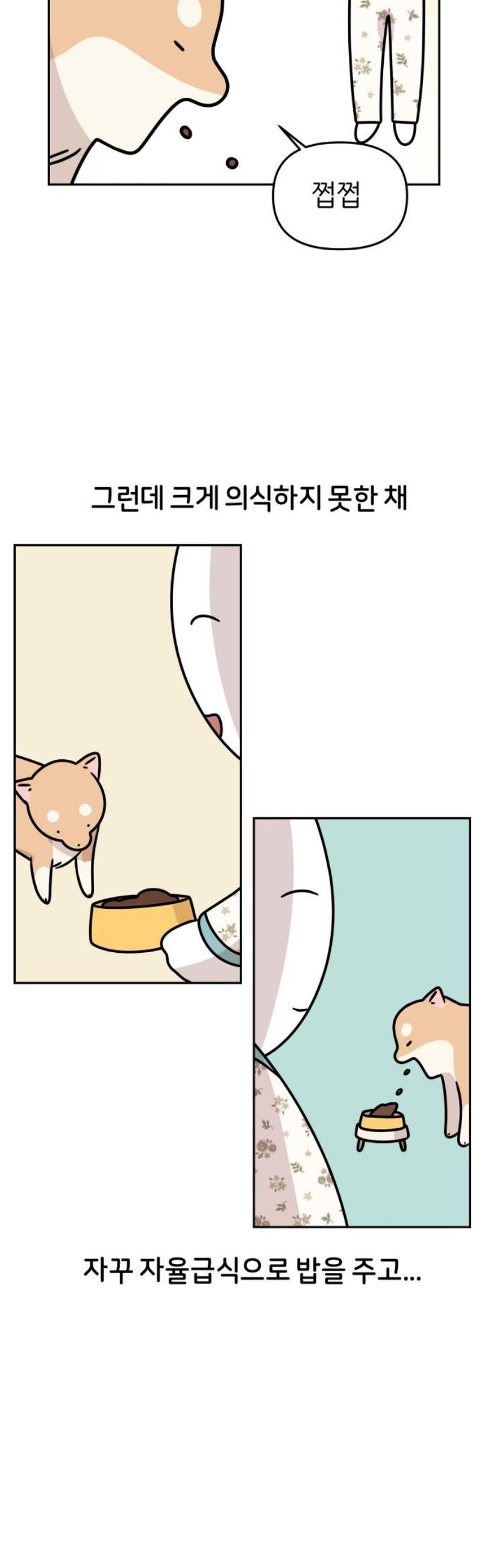 005.jpg