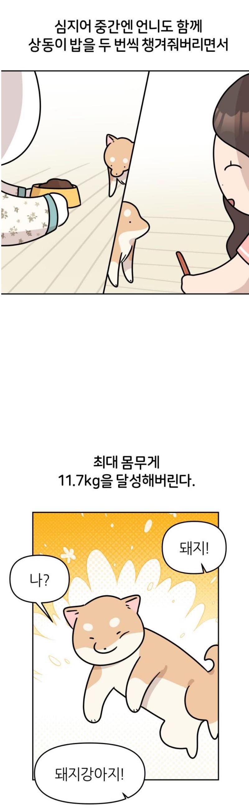 006.jpg