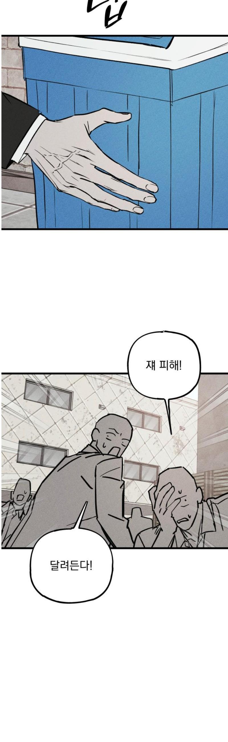 113.jpg