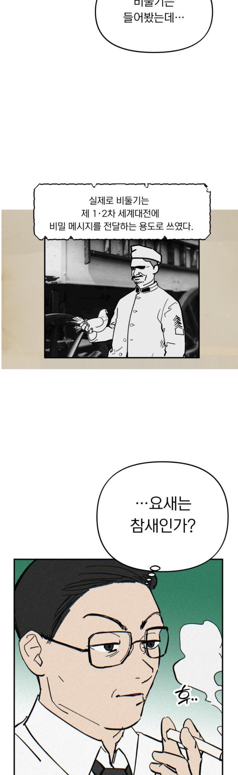 006.jpg