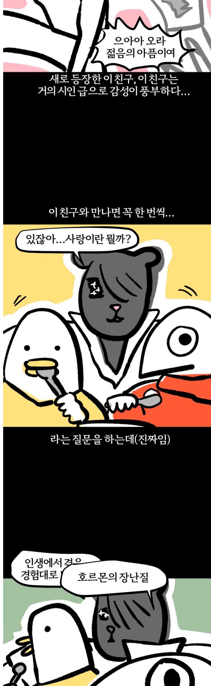003.jpg