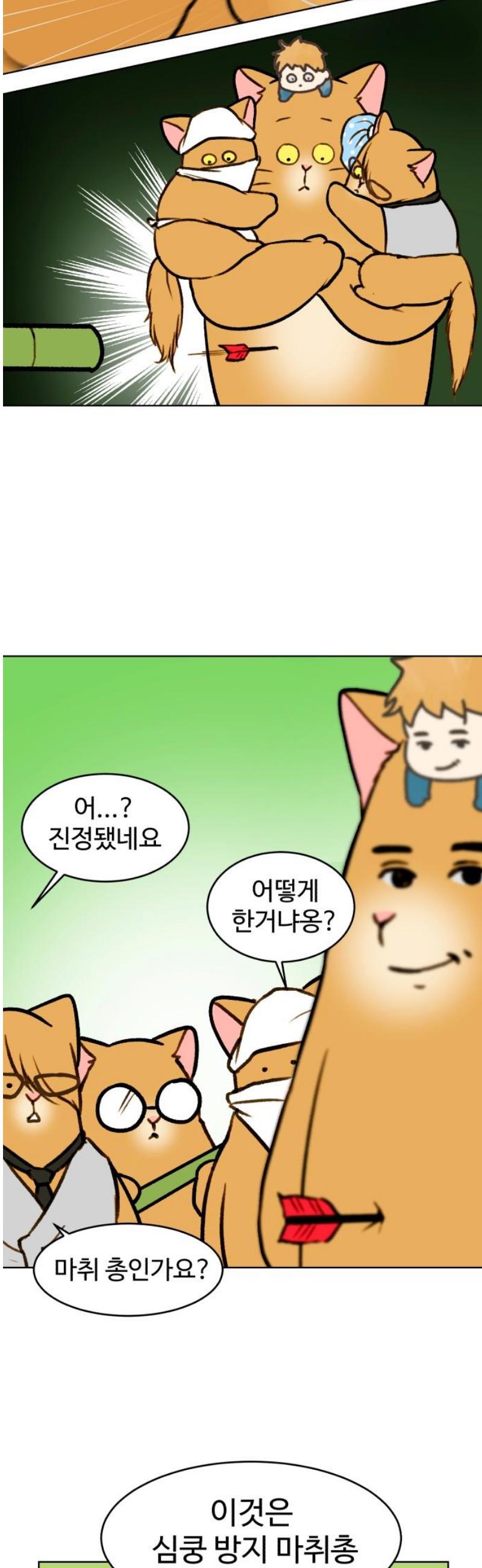 003.jpg