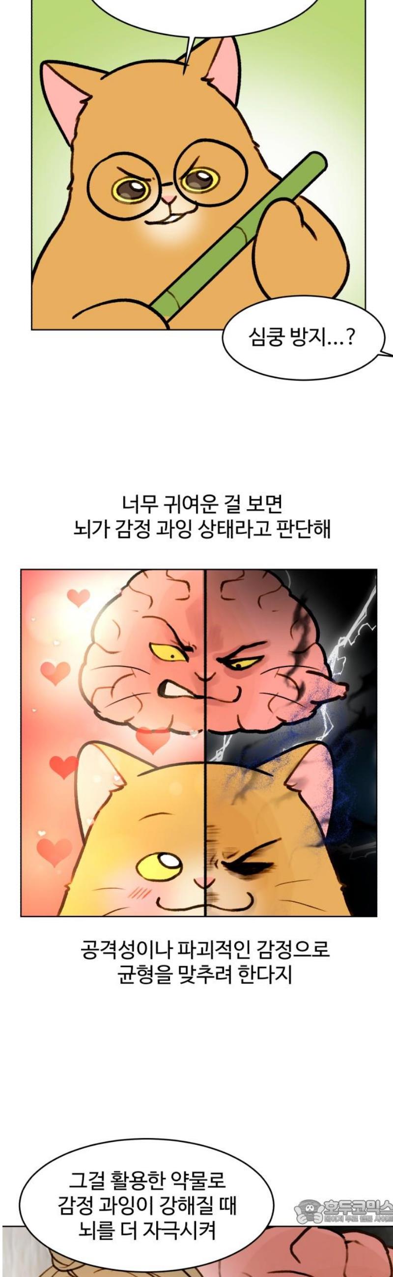 004.jpg