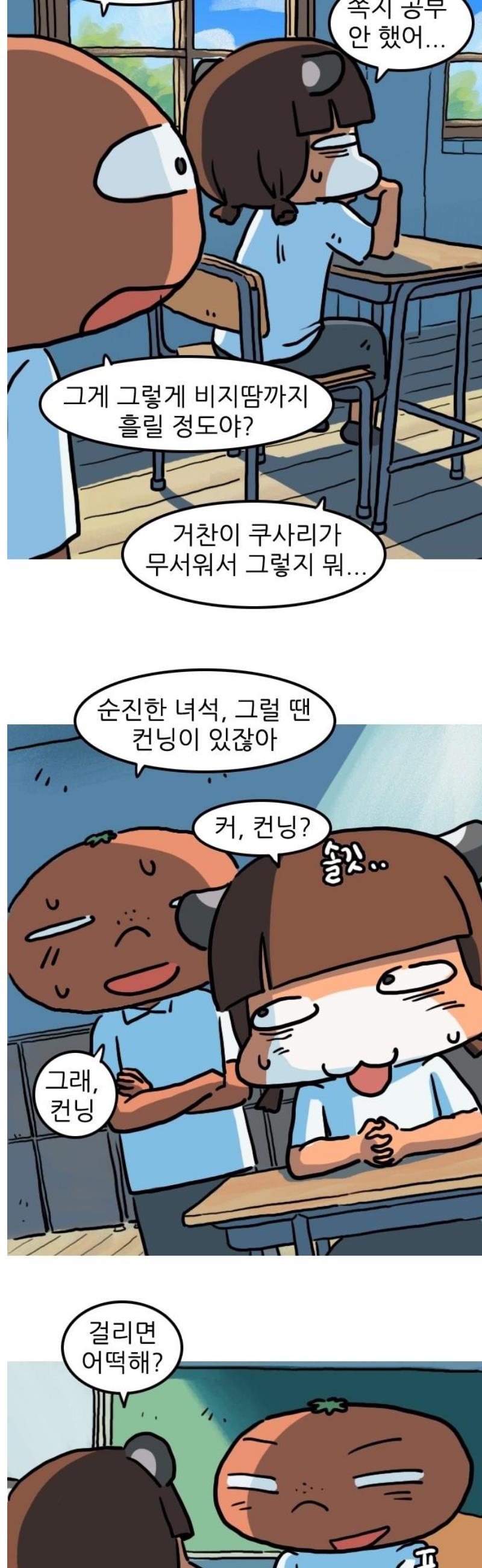 005.jpg