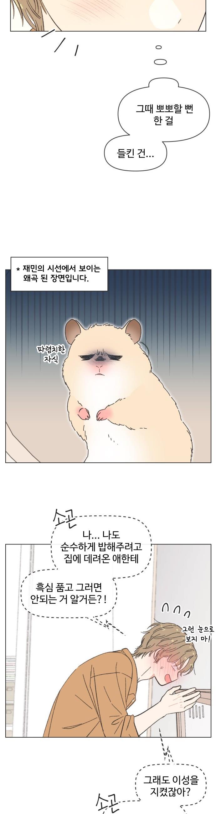 005.jpg