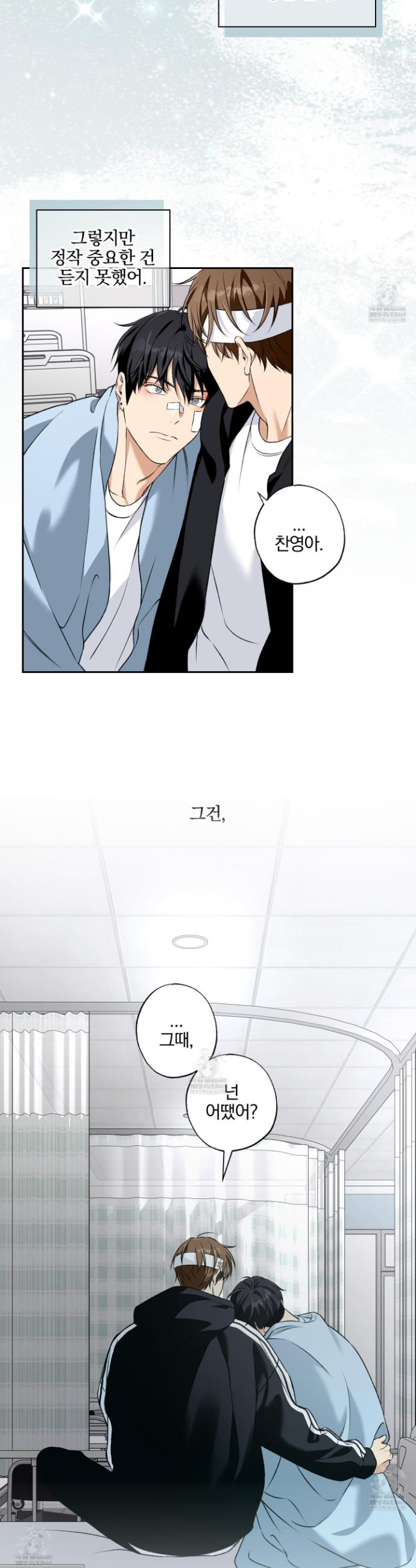 008.jpg
