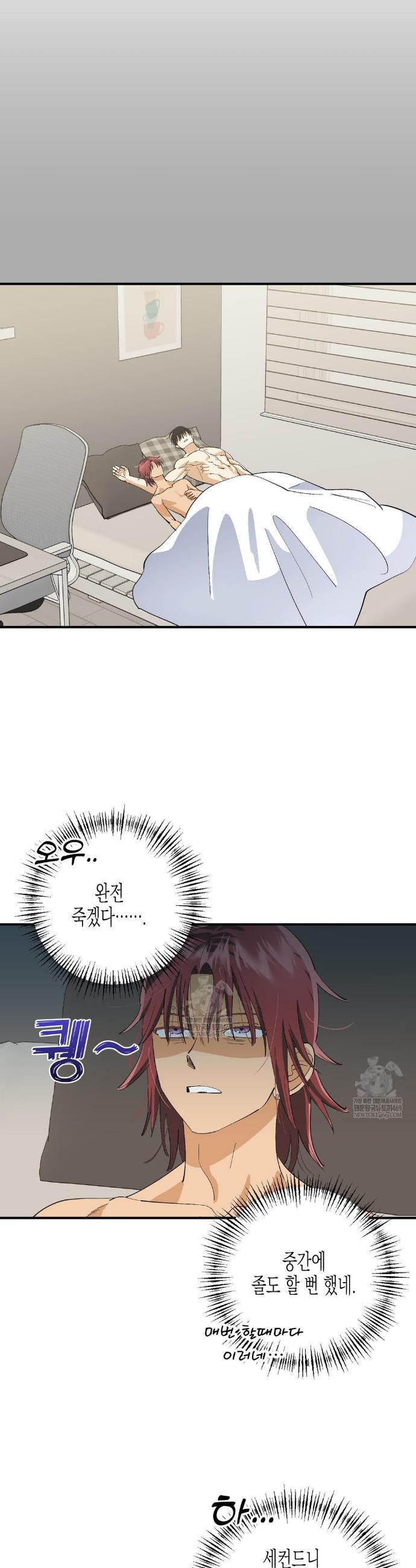 006.jpg