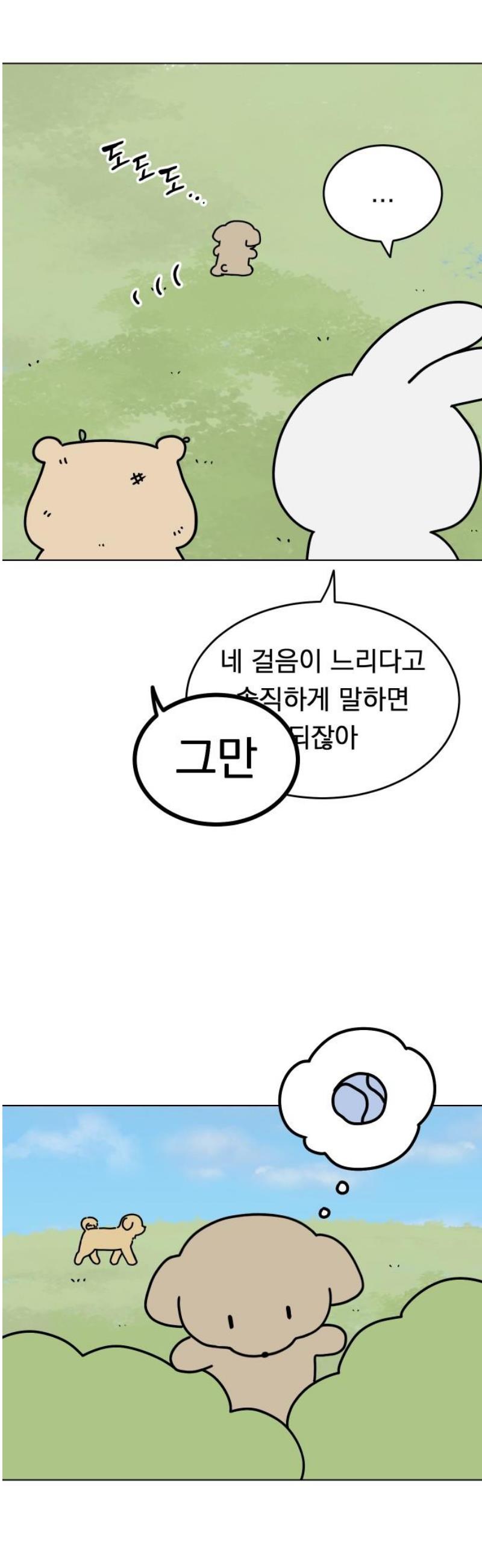 031.jpg
