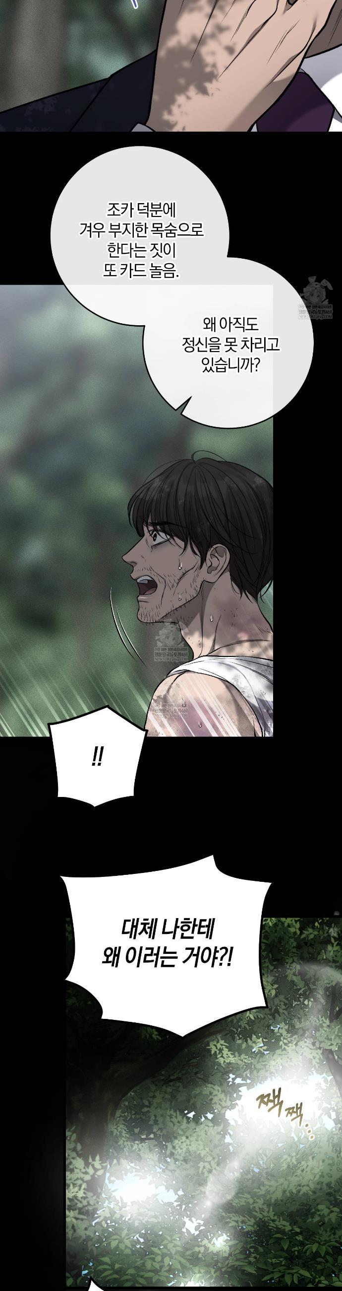 005.jpg
