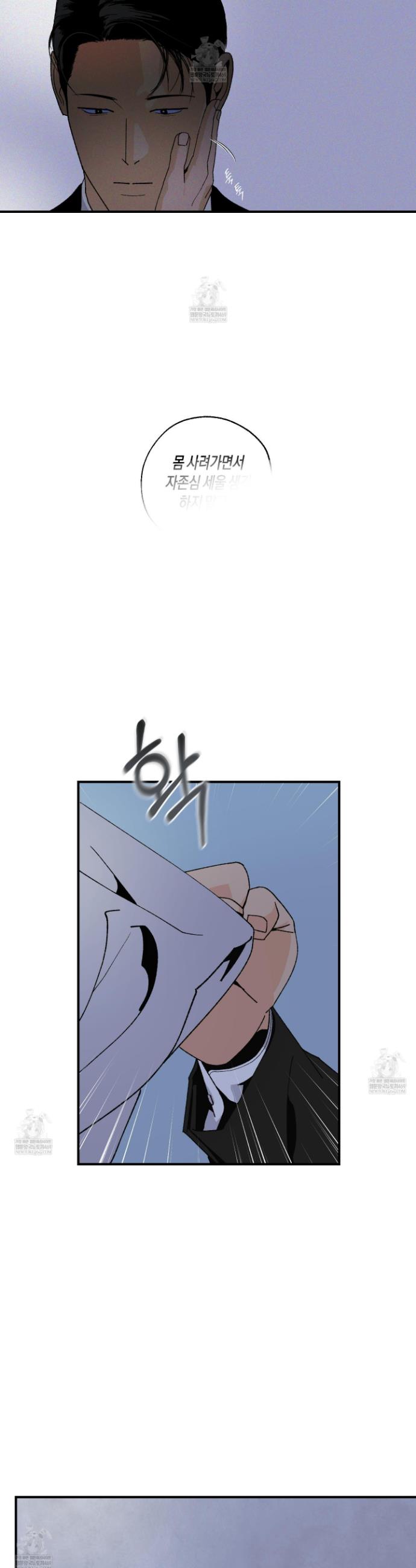 008.jpg