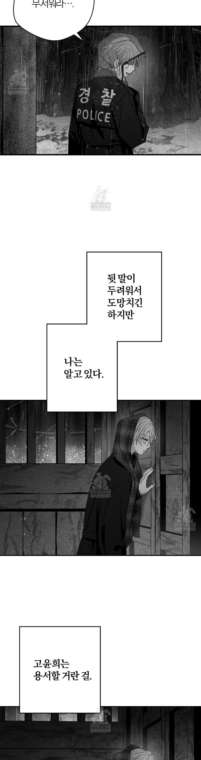 003.jpg
