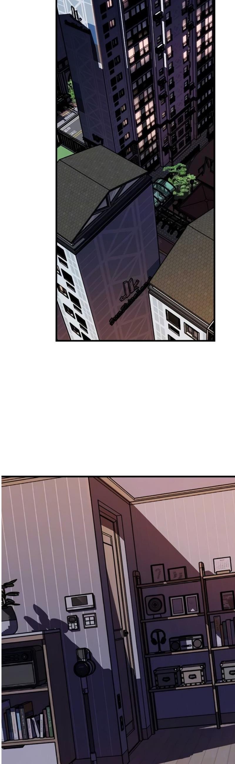 010.jpg