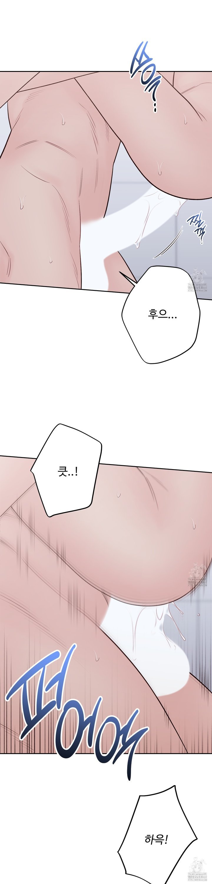 174071619247341936cow0hd.jpg