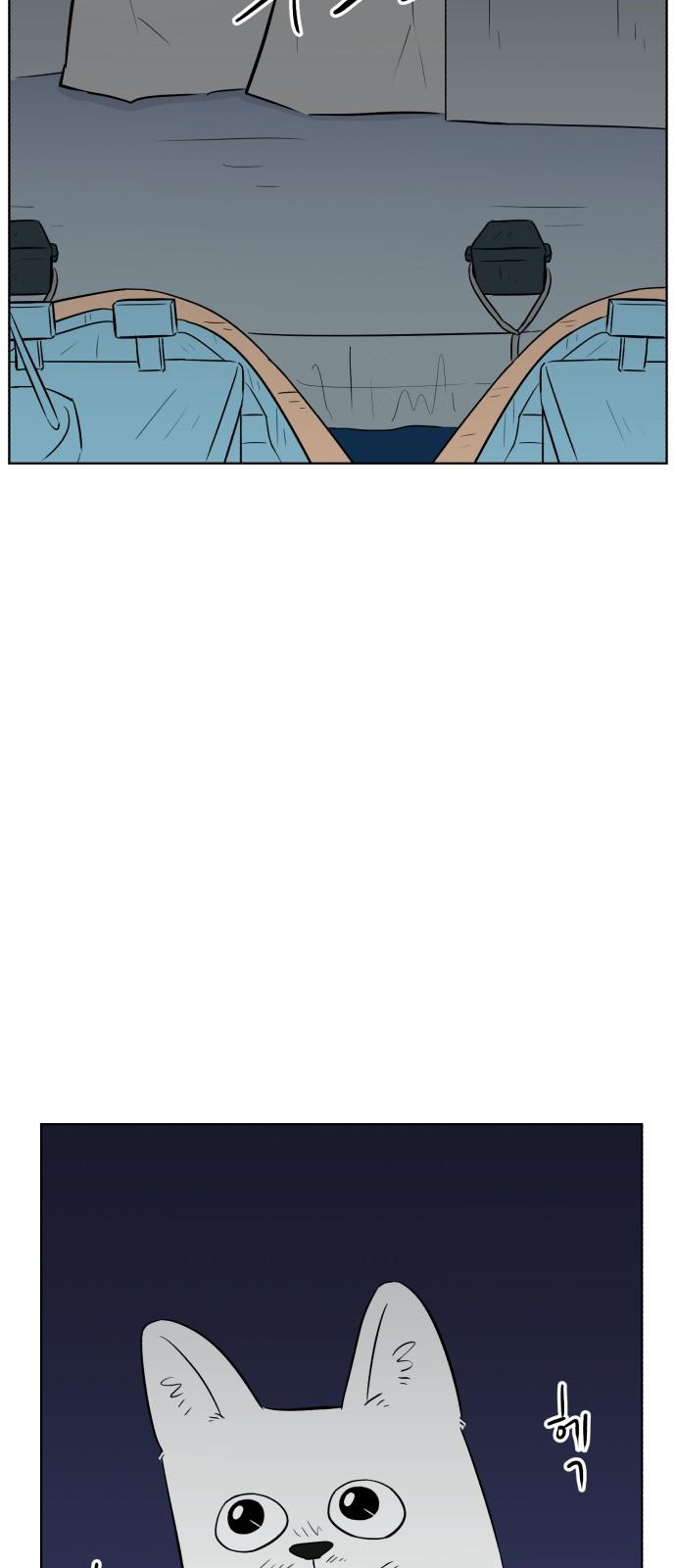1741653078308bbvodbmdc7.jpg