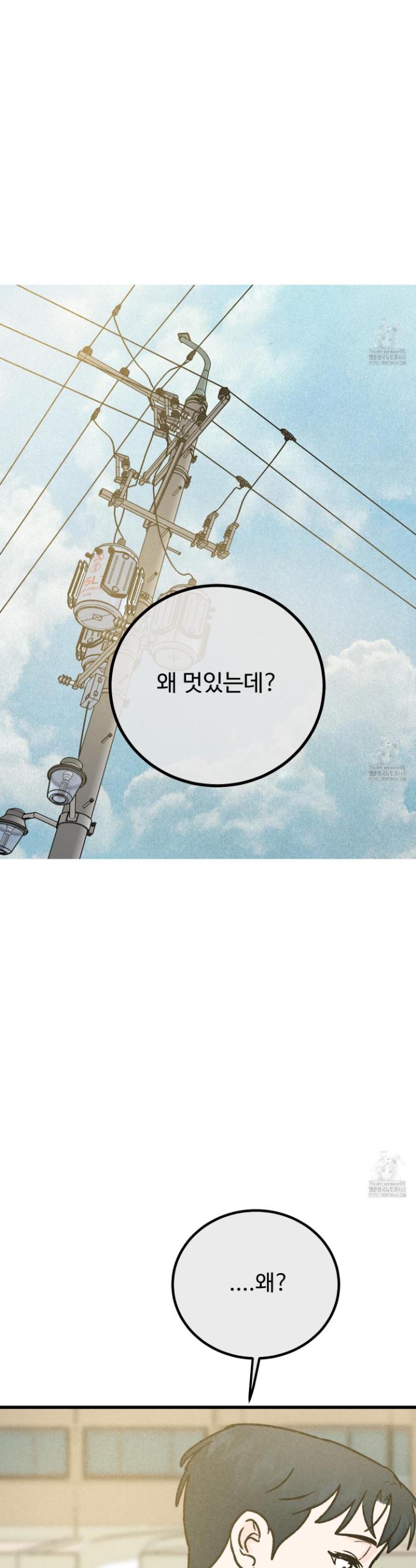 17425105330452b0b406ii6h.jpg