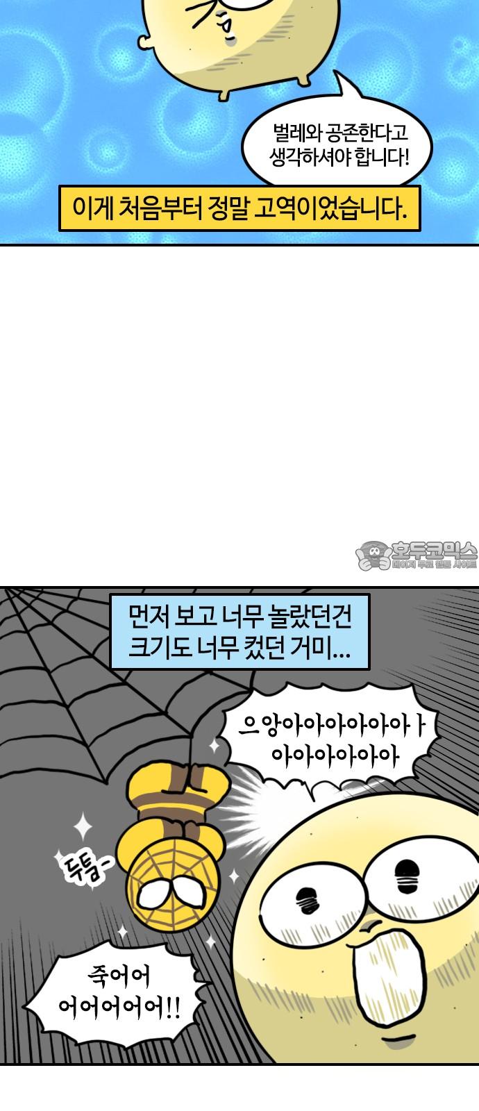 17410475001594dbe3n0imer.jpg