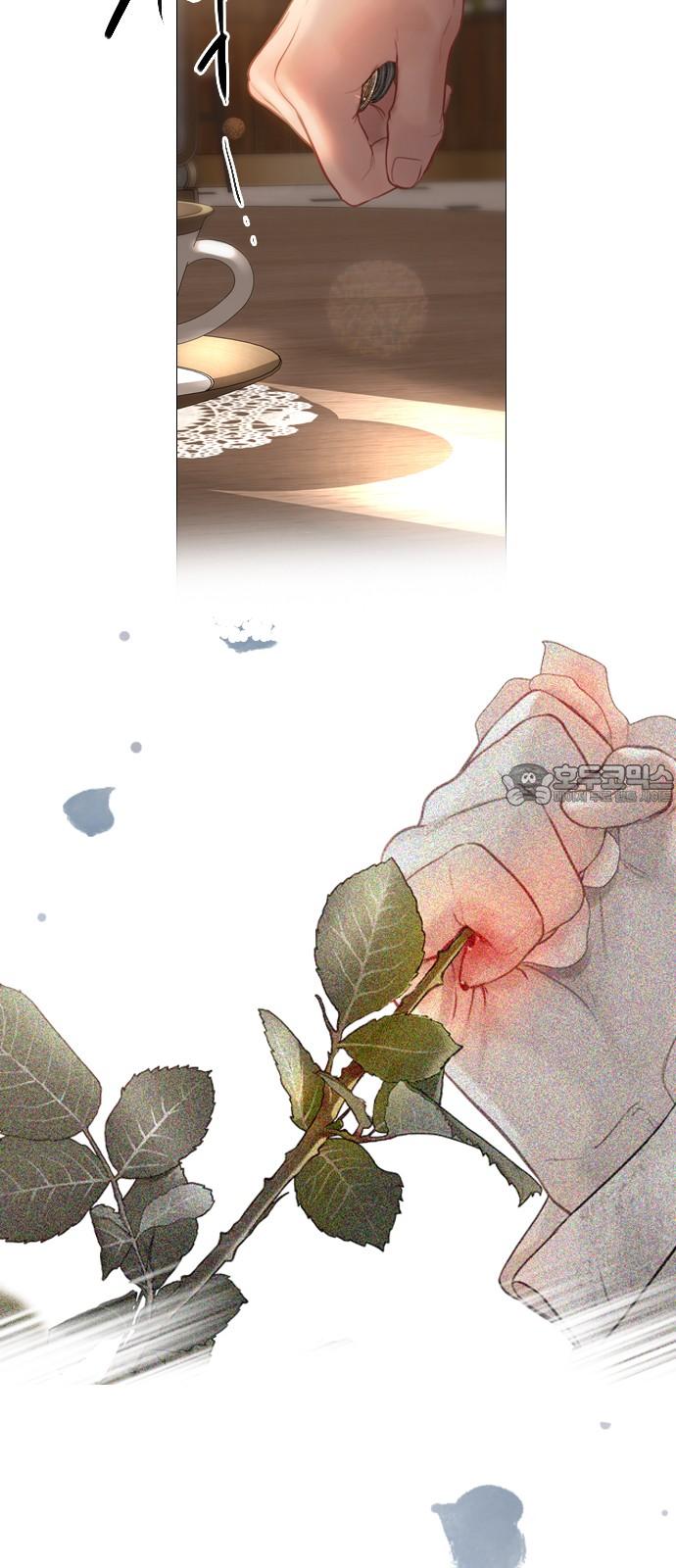 1741126353290blctb4exevb.jpg