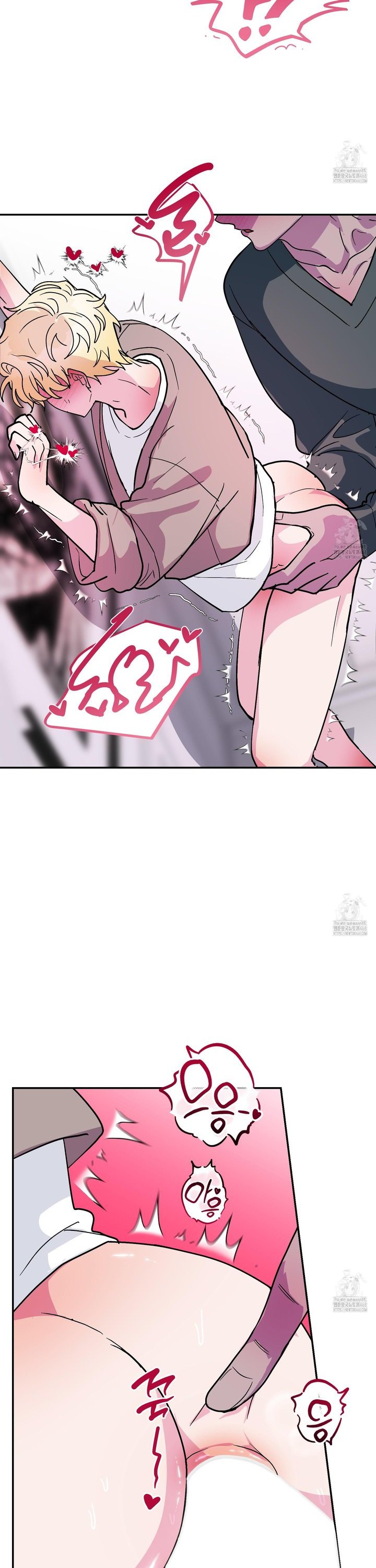 1744497996830aoj0dpamz4b.jpg