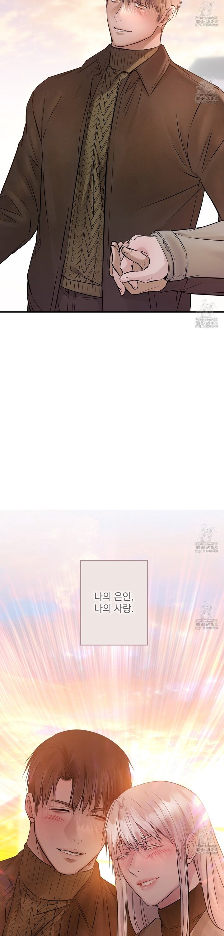 17451870993205e17awllttx.jpg