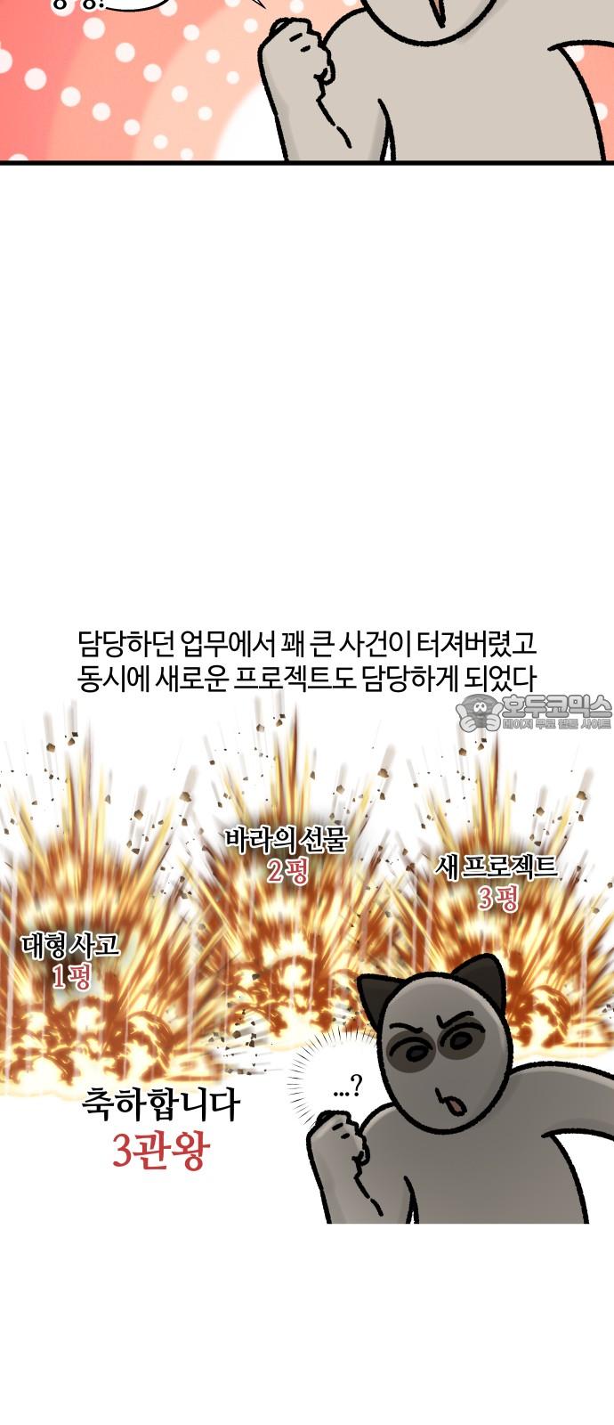 17439751359883cj7p7xdivf.jpg