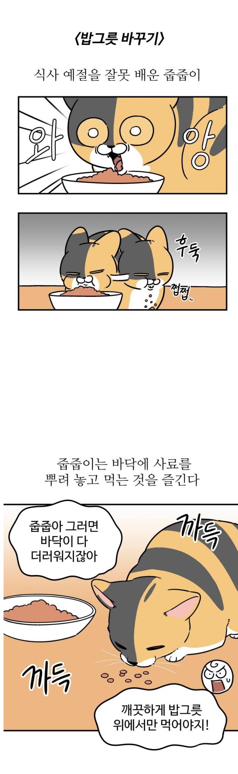 009.jpg
