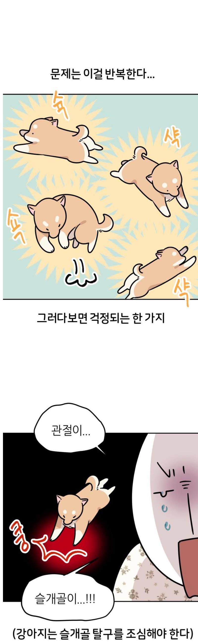 012.jpg