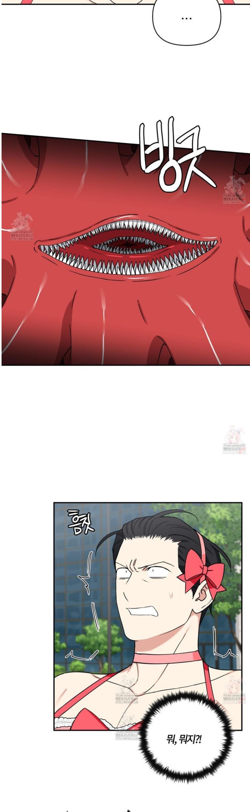 006.jpg