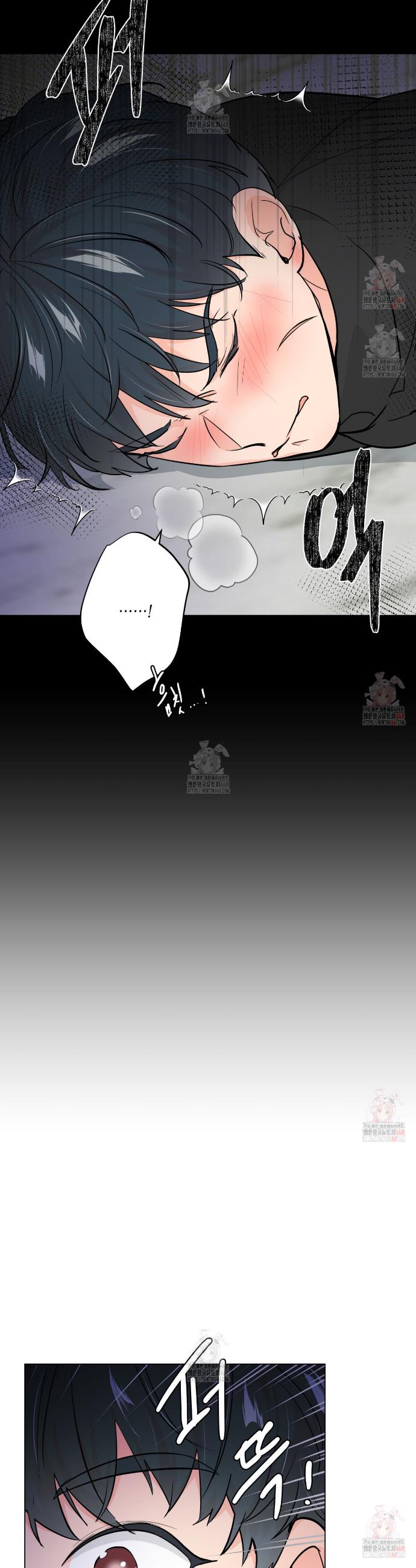 006.jpg
