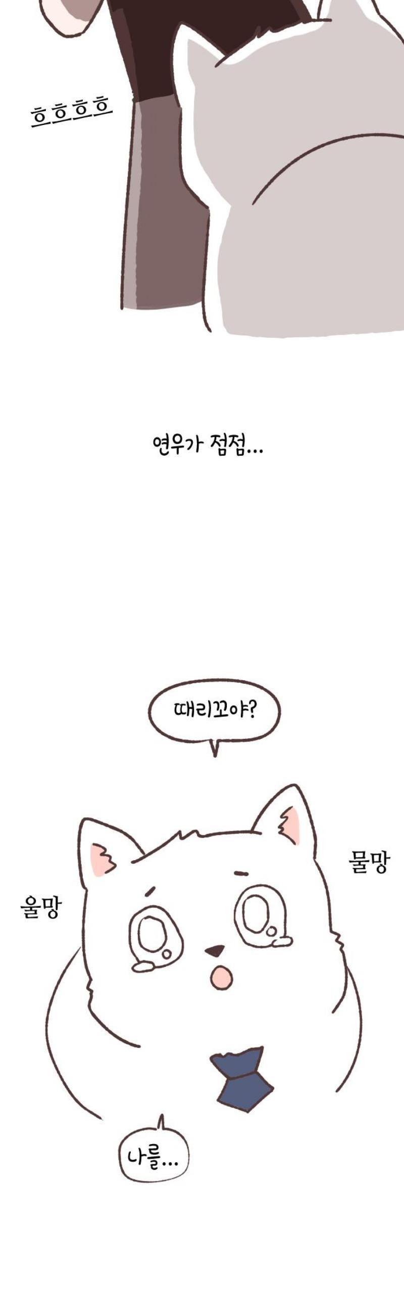 003.jpg