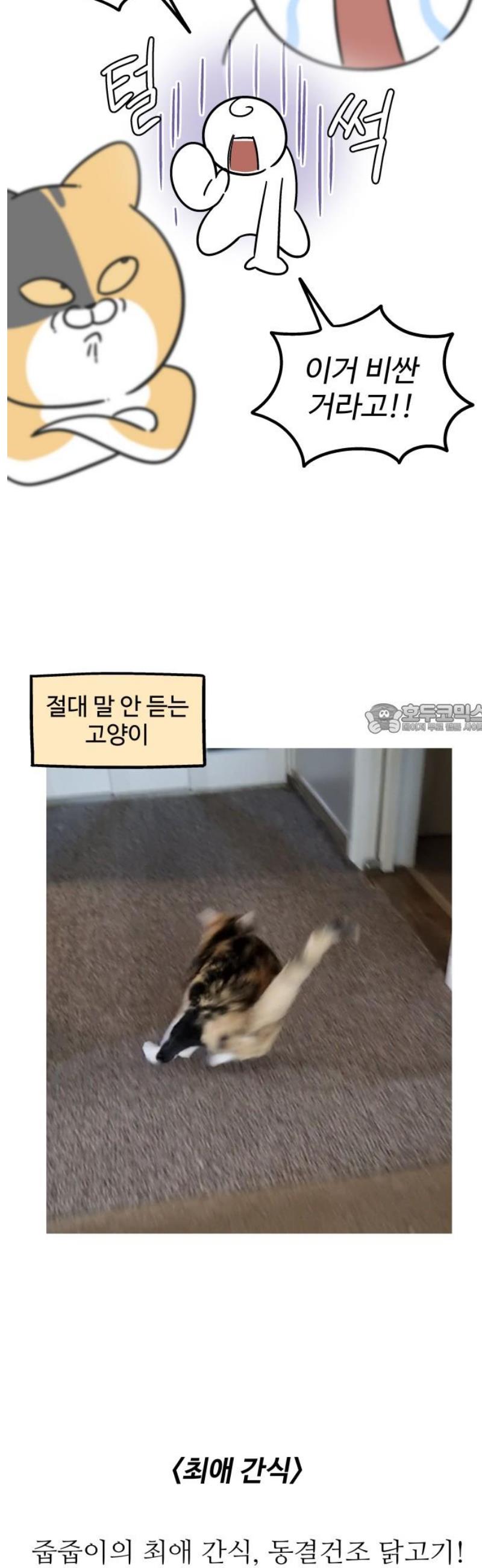 006.jpg