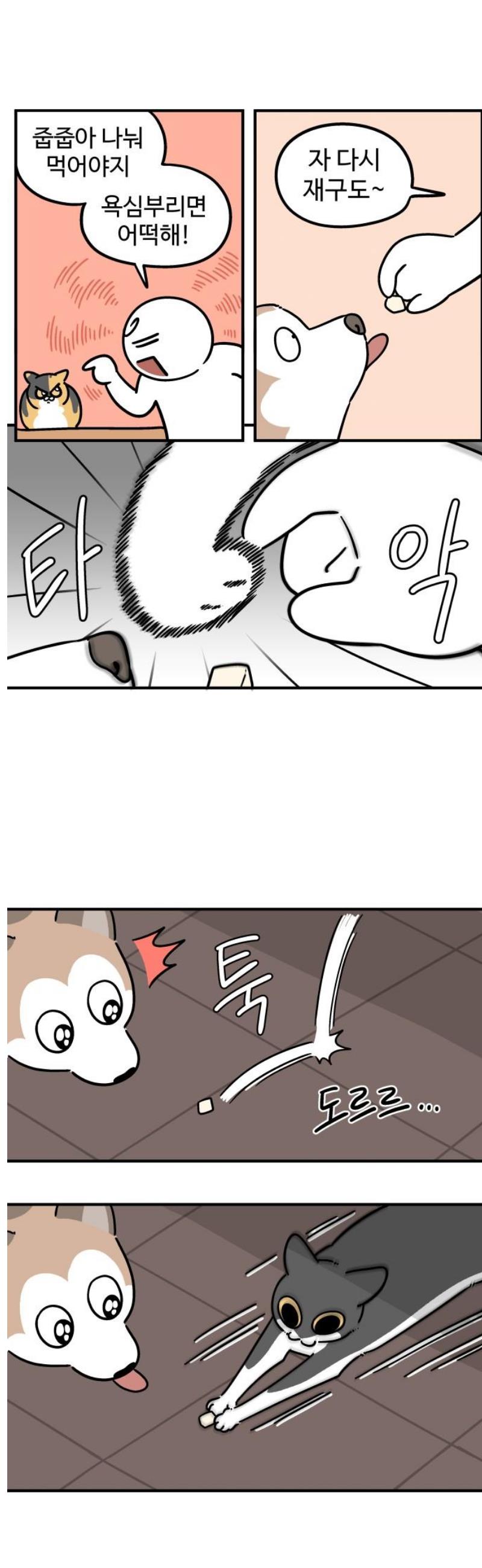 009.jpg