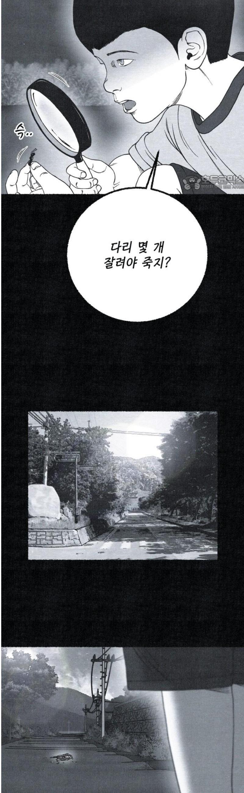 009.jpg