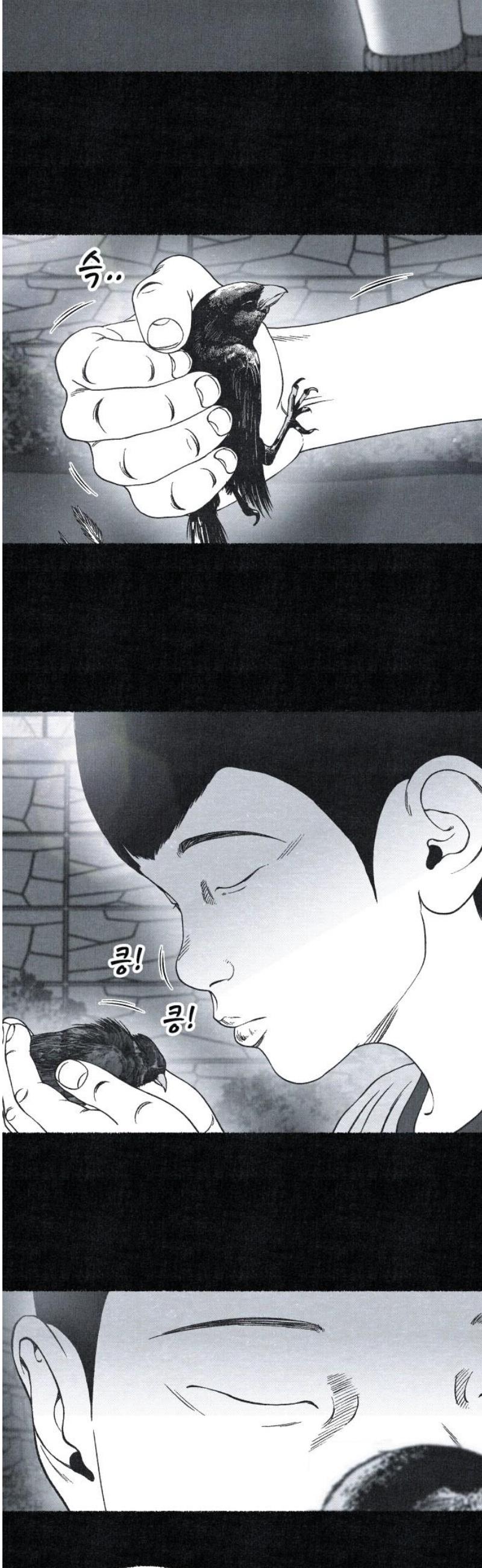 010.jpg