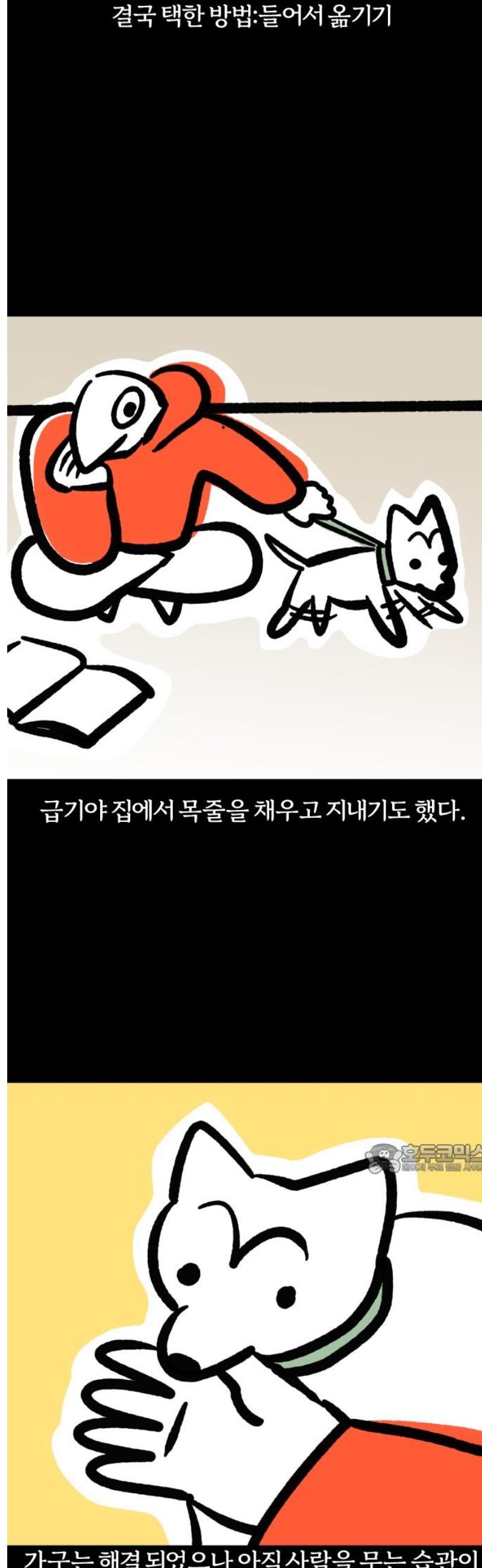 010.jpg