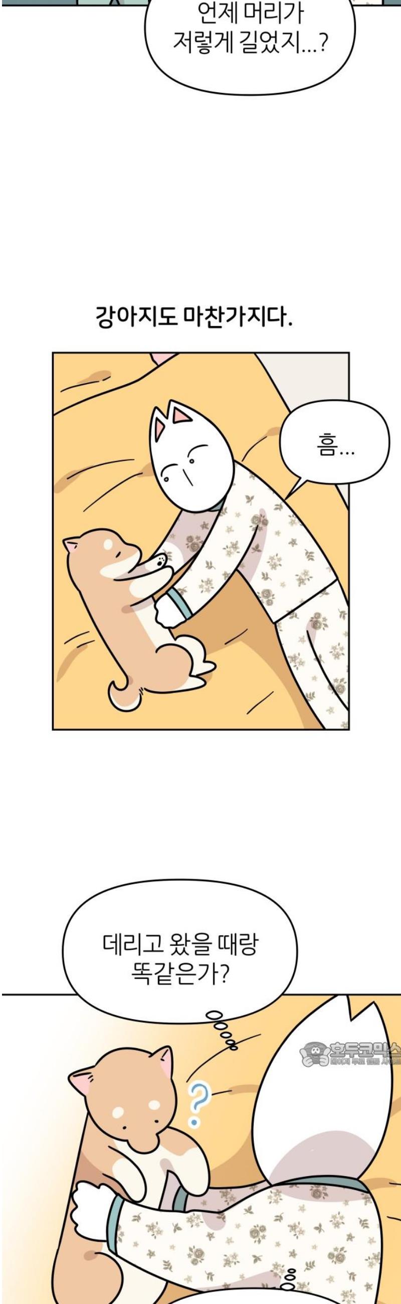 002.jpg