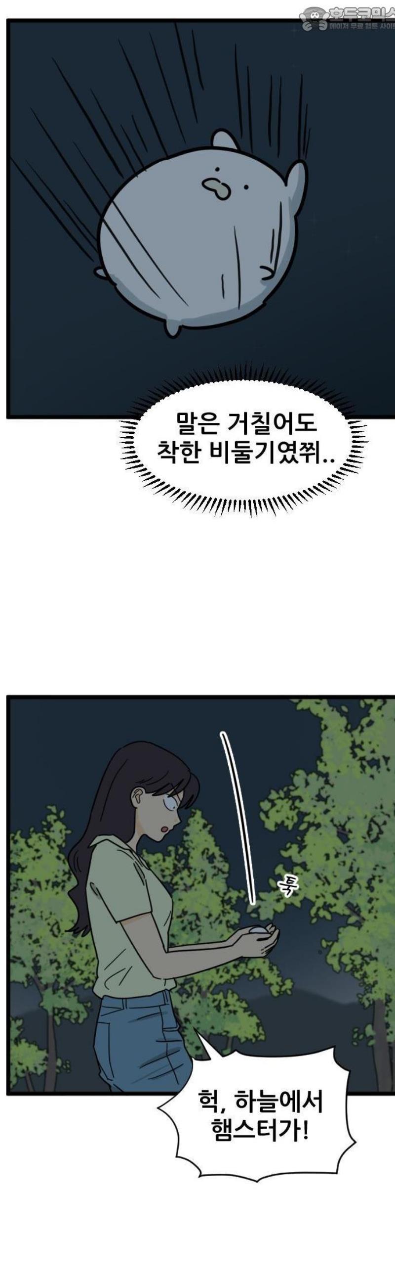 004.jpg