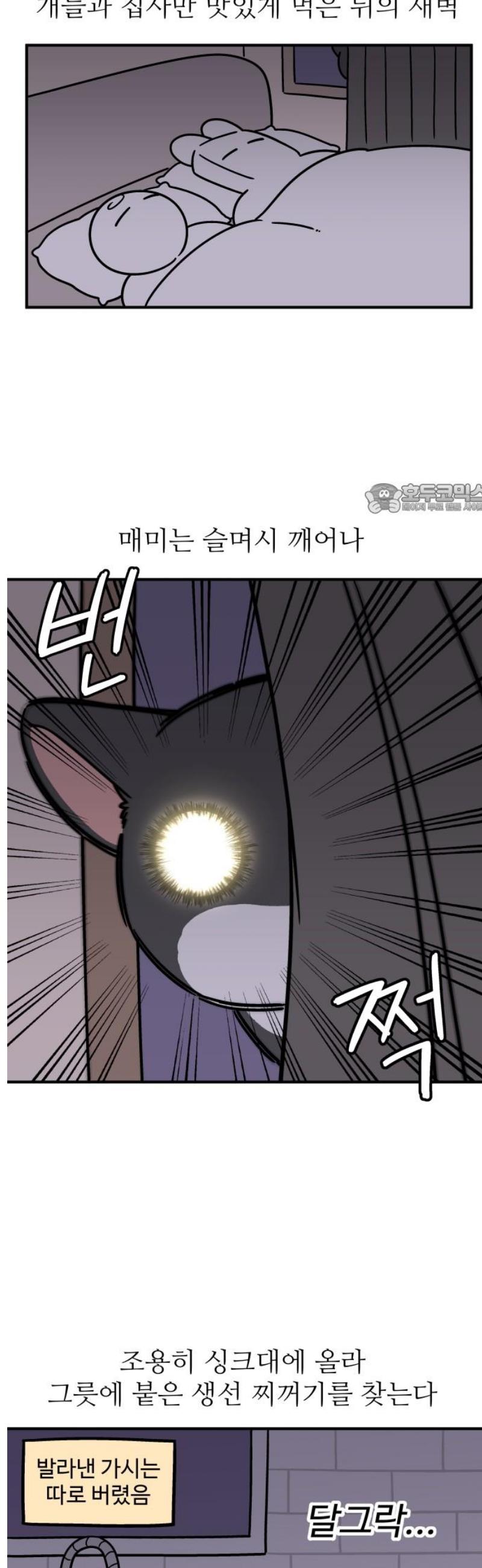 004.jpg